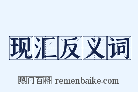 现汇反义词是什么意思的图片